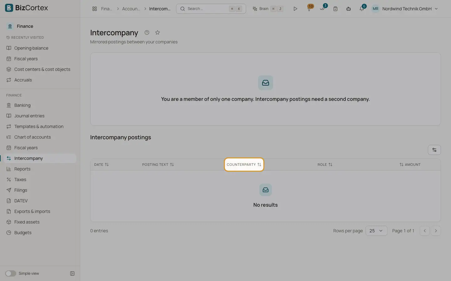 Koncerninterne posteringer